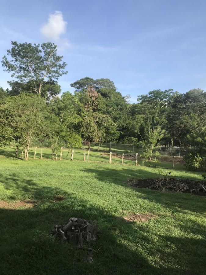 Villa Segura Manuel Antonio, Кепос Экстерьер фото